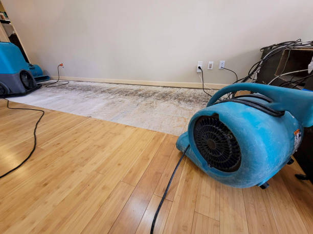 Professional Water Removal technician working in Hannibal, OH